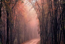 开云体育APP下载-阿尔希拉尔保持连胜势头，世俱杯冠军呼之欲出