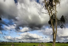 开云体育在线-韩国举重选手力压千钧重，见证不屈精神与卓越技艺