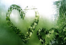 开云平台-阿尔希拉尔全力备战世俱杯，冲击冠军信心十足