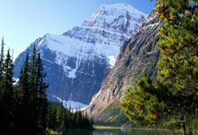 开云体育官方网站-阿尔希拉尔迎战卡尔蒂斯，防守反击或成致胜关键