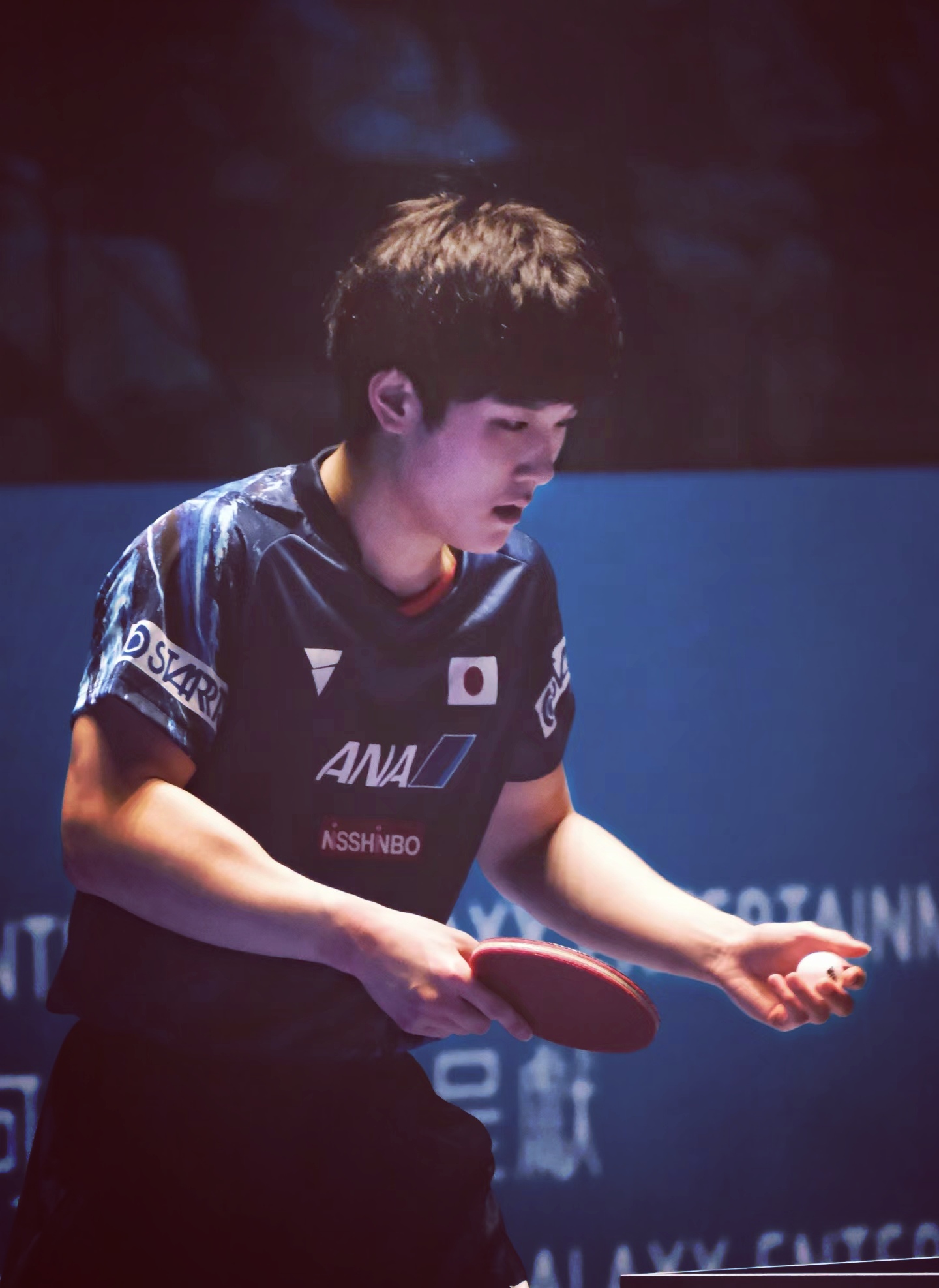 开云体育官方网站-关于匈牙利选手全力以赴再创辉煌新高！的信息