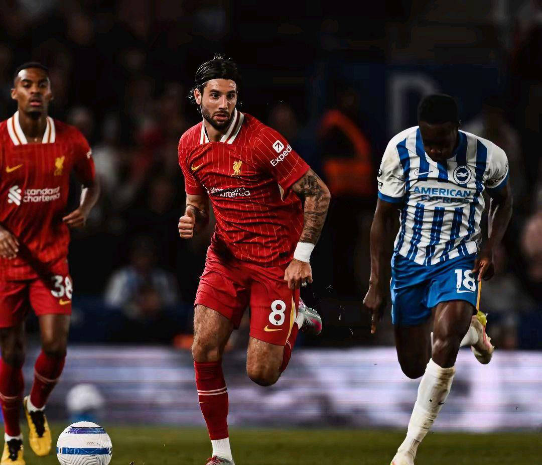 包含布莱顿客场惨败利物浦,保级前景堪忧的词条 包含布莱顿客场惨败利物浦,保级前景堪忧的词条