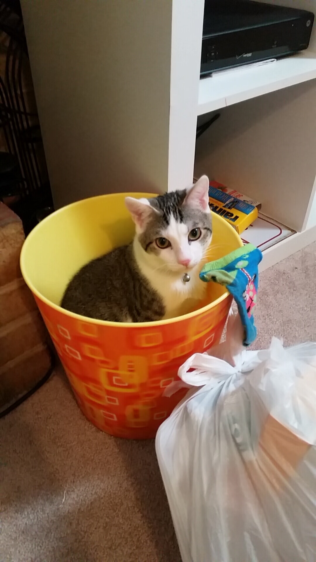 卡马文加爆发难阻黑马神话，委内瑞拉逆转阿森纳系的启示