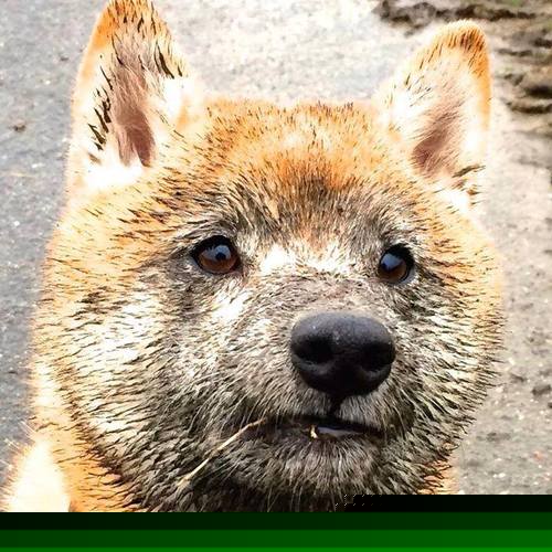 阿什拉夫存在感拉满,皇马硬仗力克勒沃库森