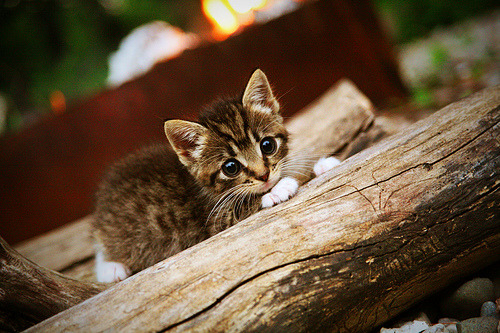 铁闸之下无生路,詹姆斯防守绞杀,步行者窒息败走费城