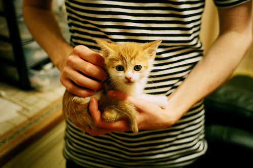 哈兰德归化伊朗?平行宇宙中他如何统治攻防两端击溃巴拉圭