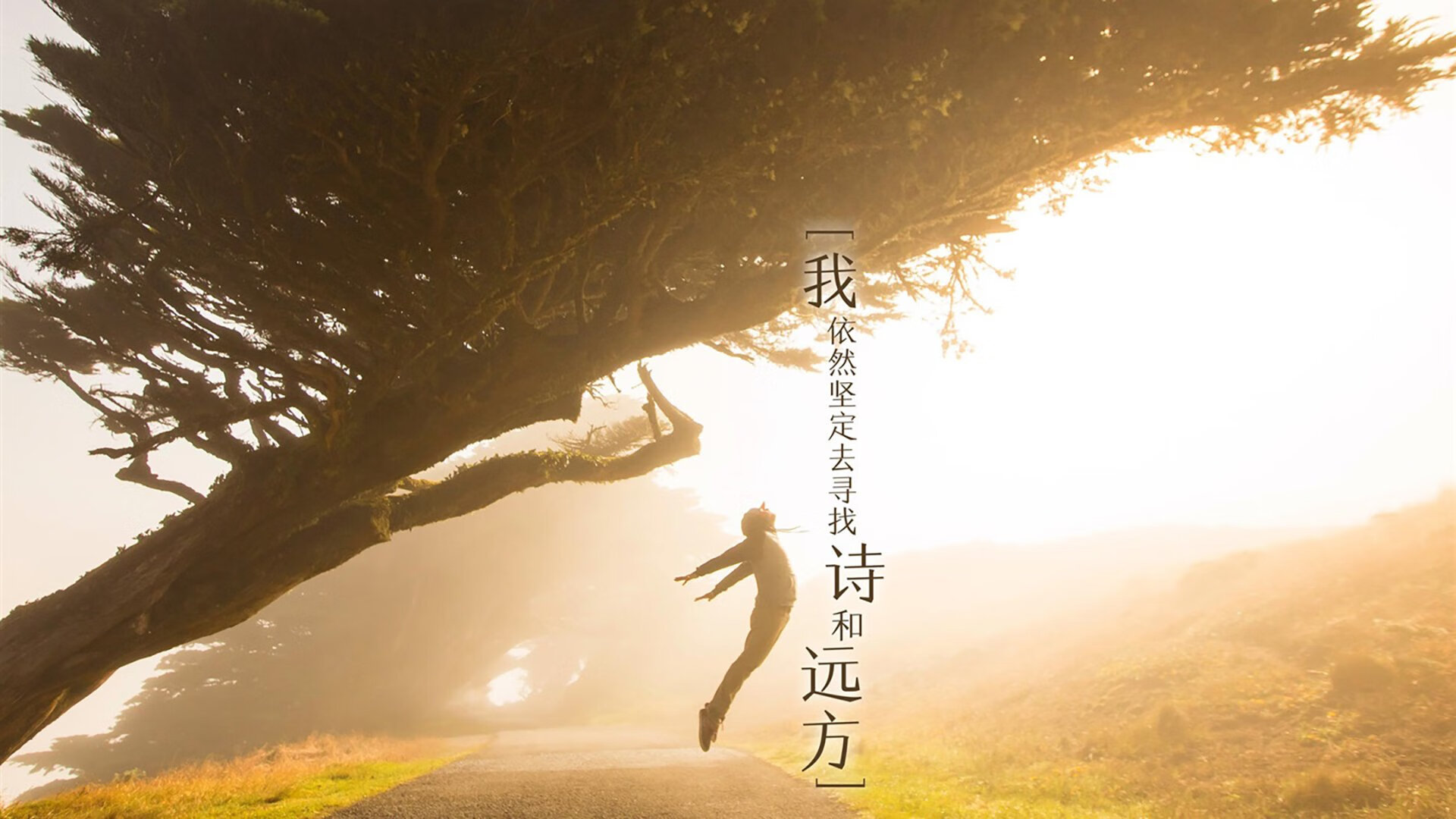 开云平台-巴雷拉关键先生显威，法国硬仗力克挪威