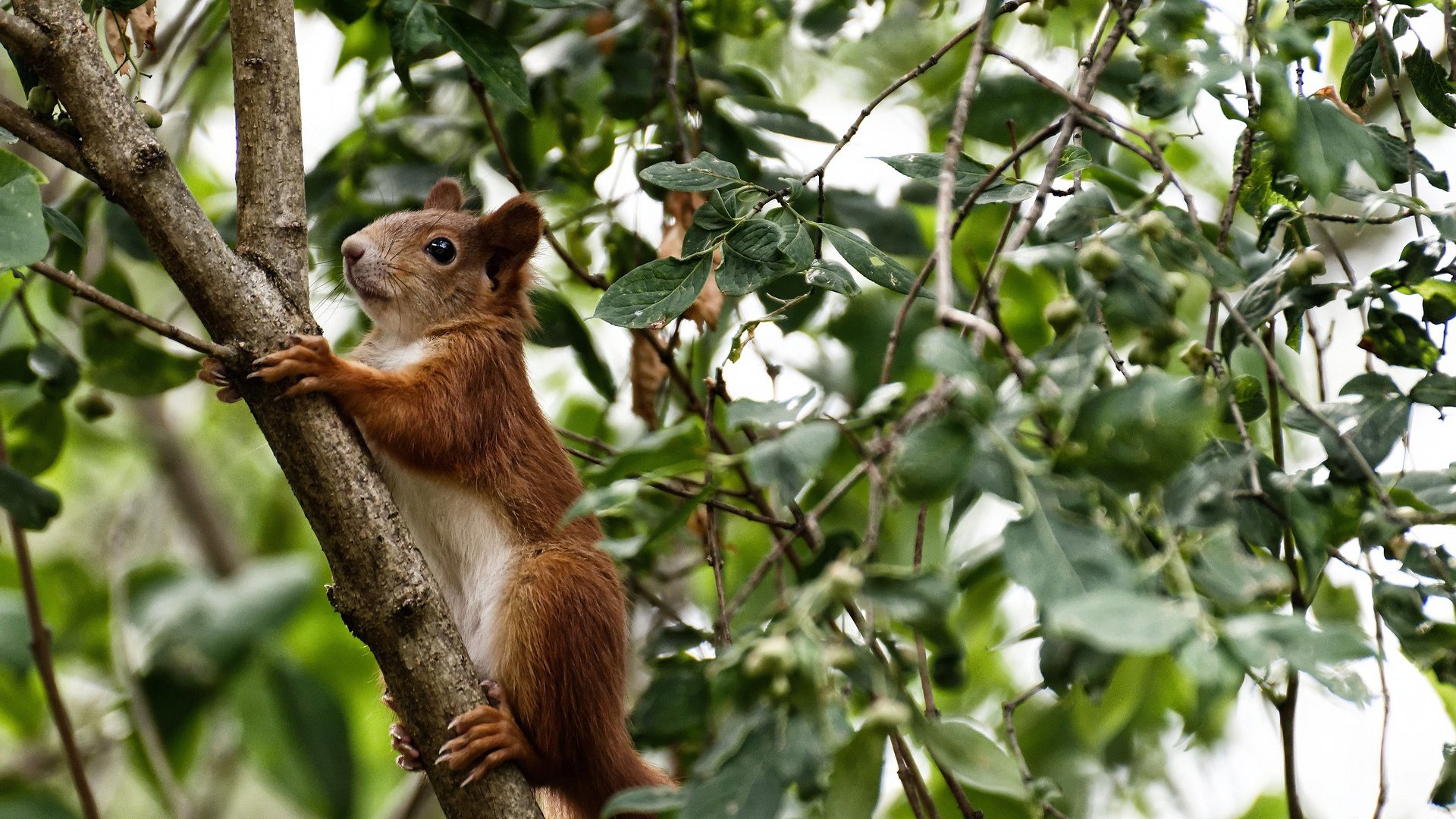 中场斗法与末节风暴,跨越时空的体育战术交响