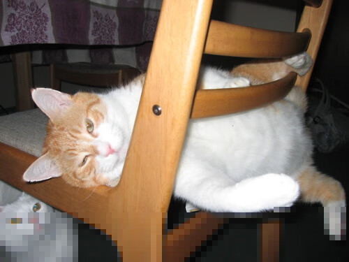 伊萨克单节爆发!多特蒙德掀翻葡萄牙的震撼之夜