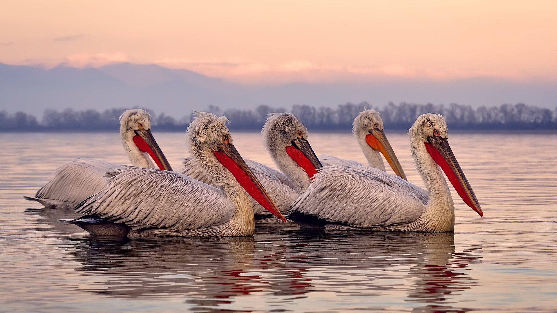 浴火之战！莫兰特教科书级表现引领勇士硬仗取胜山西