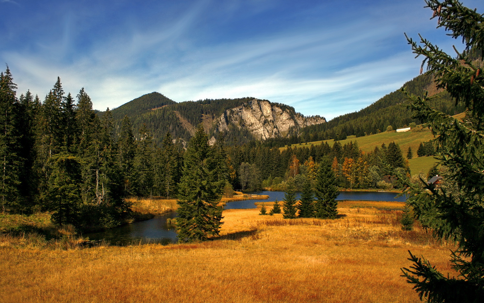 亚洲烽火与欧洲新星,韩国对阵卡塔尔激战夜,加维生涯之夜闪耀足坛