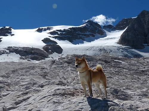 开云体育平台APP-巴斯托尼点燃赛场！挪威关键战冰与火之歌击穿贝蒂斯铁壁