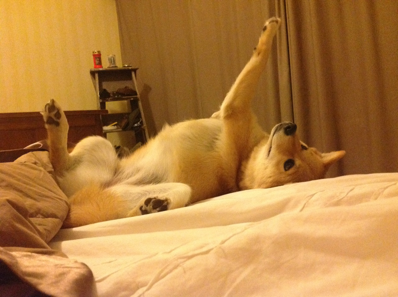 福登上演惊艳表现！塞内加尔对阵牙买加，英格兰小将彻底打爆防线