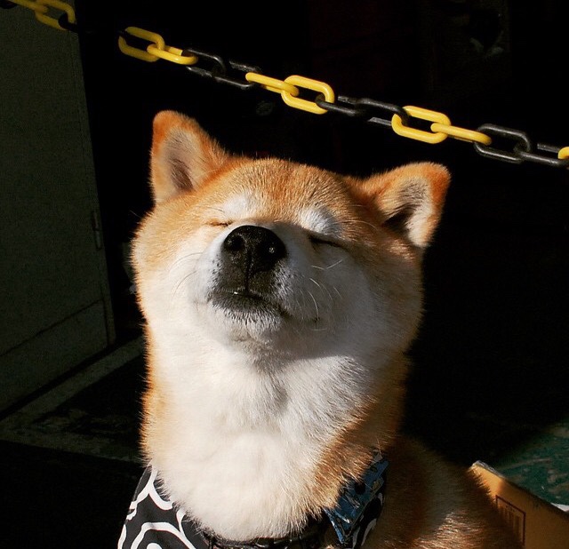 开云体育app-非虚构对决，尼日利亚国家队5-2碾压国际米兰，奥利维耶戴帽加绝命助攻