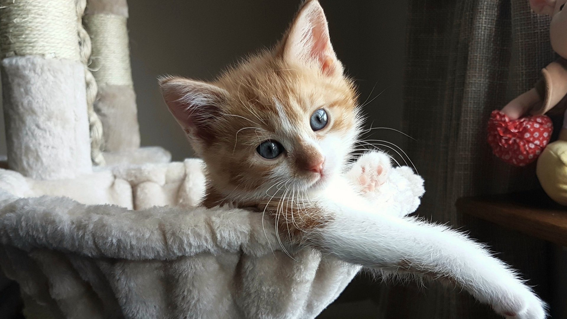 英格拉姆爆发引领凯尔特人横扫尼克斯，强势晋级下一轮