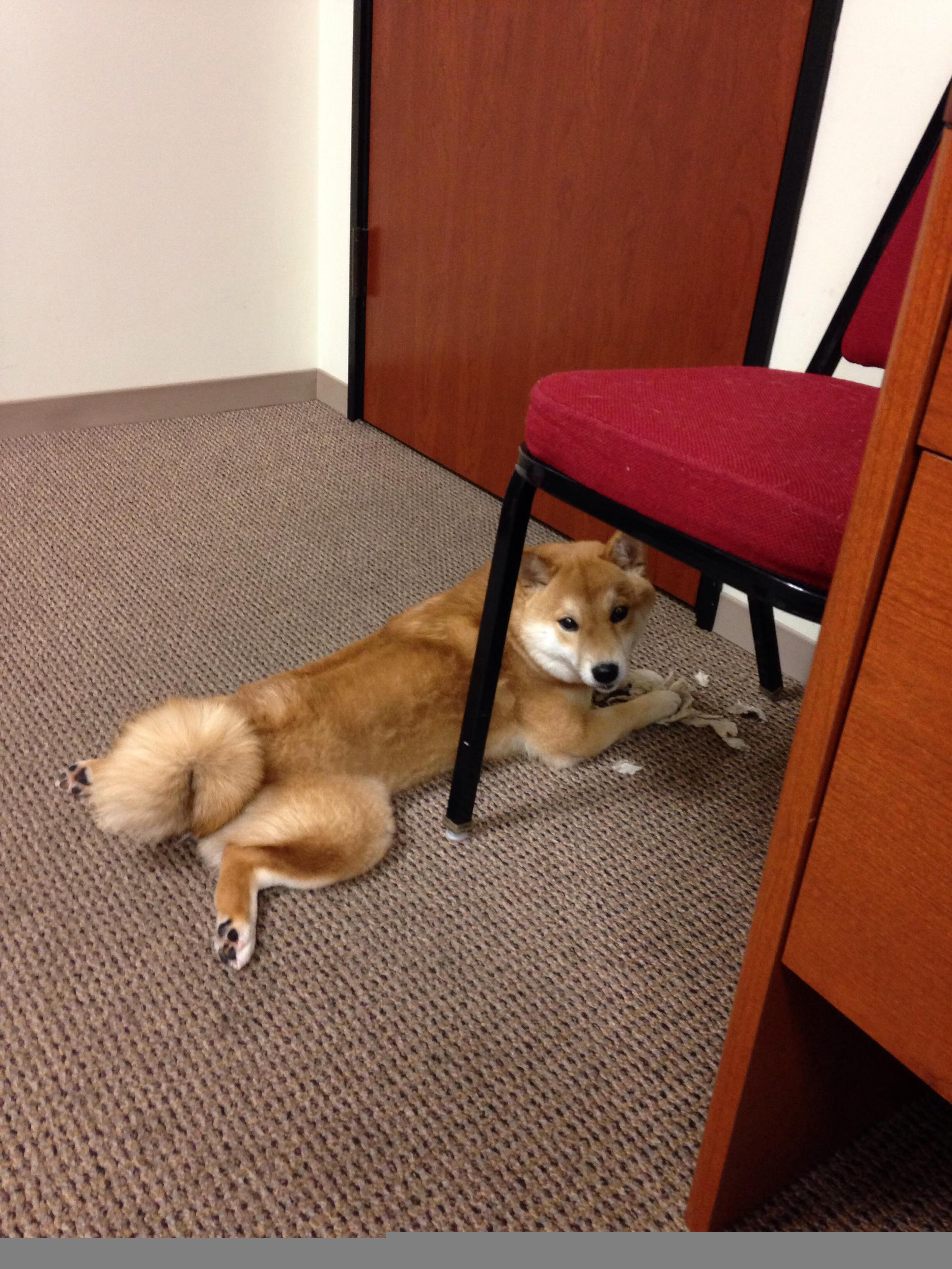 开云体育官网-纪录之夜与东方曙光，卡瓦哈尔刷新欧冠传奇，中国男足斩落卡塔尔迎新生