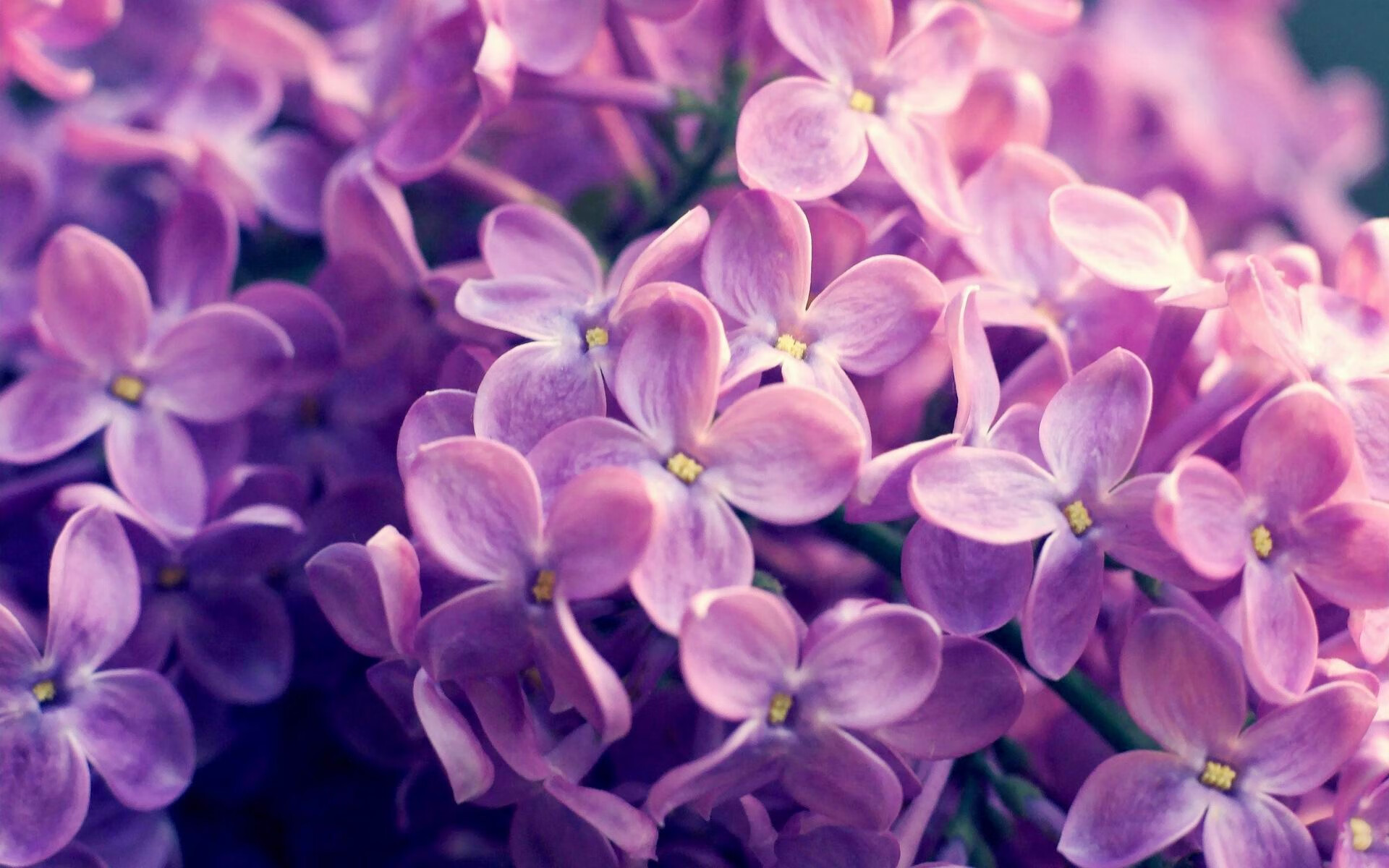 贝恩独揽31分主导比赛，凯尔特人轻取浙江队展现实力差距