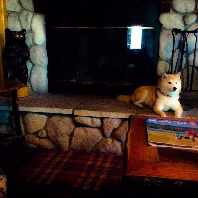 跨越洲际的体育狂想，伊拉克终场逆袭巴黎，奥利维耶德比夜加冕王座