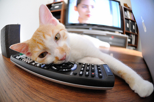 双日凌空，当骑士终结悬念于菲尼克斯，约基奇在美加墨之巅接管比赛